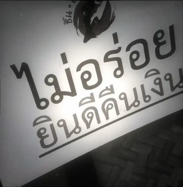 @แมวมีปีก 