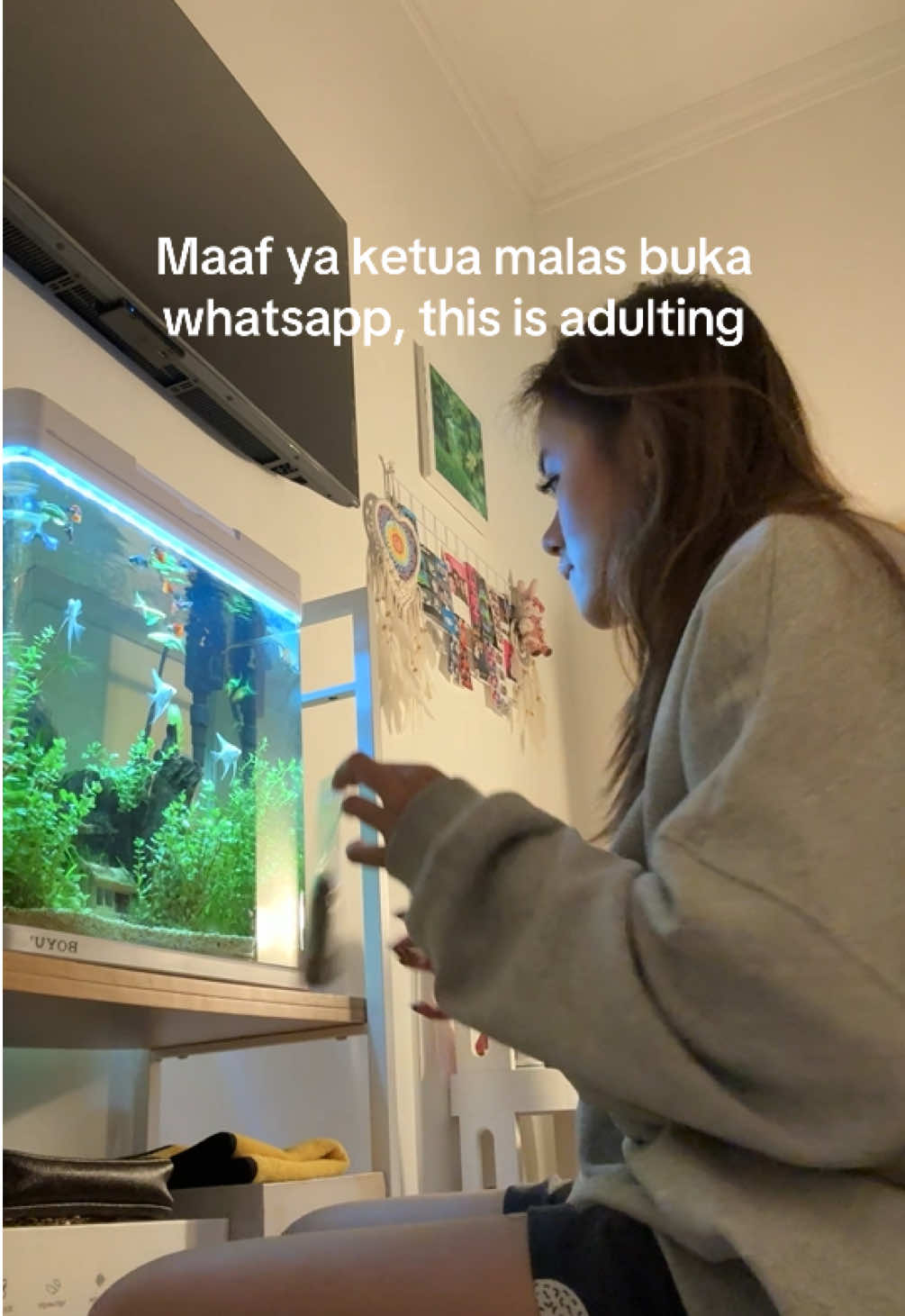 sibuk ngurusin ikan