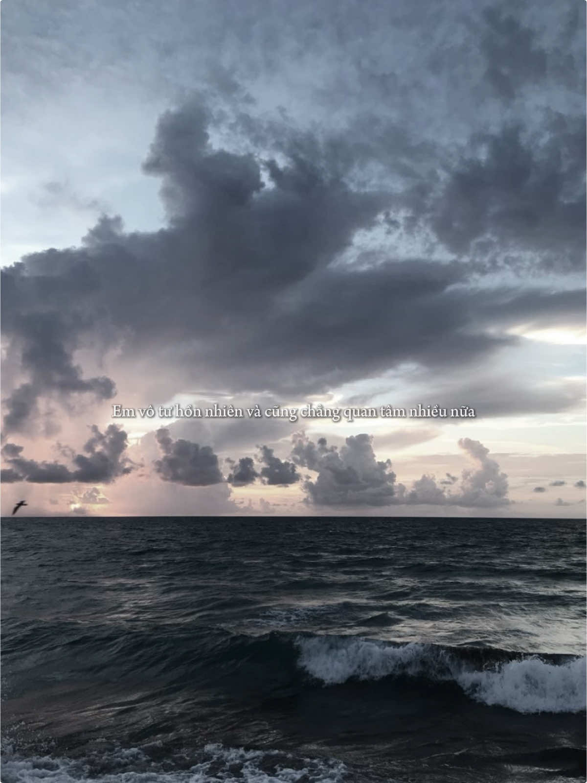 Em vô tư hồn nhiên... #CamOnEm #NhacHayMoiNgay #fyp 