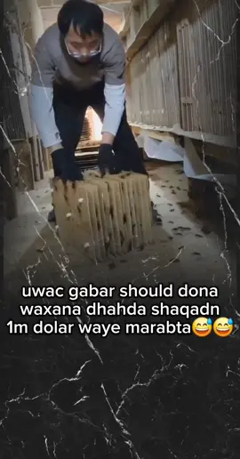 @Najma🐊 @viral.video911 @somaliTiktok @fypシ 