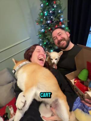 Make this Christmas unforgettable with a Super Chewer Box—durable toys and treats they’ll adore!