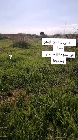 #عرعر_عرعرنا_الحدود_الشماليه_عرعرنا 