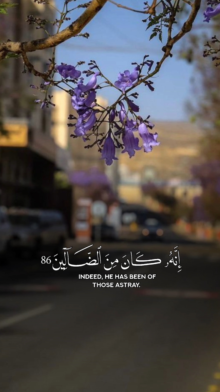 رب هب لي حكما والحقني بالصالحين💬🌿#قران_كريم #ياسر_الدوسري_إماما_للحرم #قوالب_كاب_كات #ولاتخزني_يوم_يبعثون #رب_هب_لي_حكما_والحقني_بالصالحين #قوالب_capcut #قران #مروان_الرحيلي #CapCut 