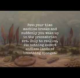 The precambrian era, which was 4.5 billion years ago, consisted of nothing except molten lava and sponges with nervous systems, no animals and nothing mobile or concious in the biosphere. Just endless, disheartening feilds of sponges, meteorites, and magma #fyp #facts #prehistory #ancient #fascinating #oldearth #funfact #sponge #scary #scaryfacts 