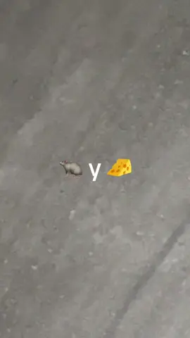 Buenos dias tardes o noches 