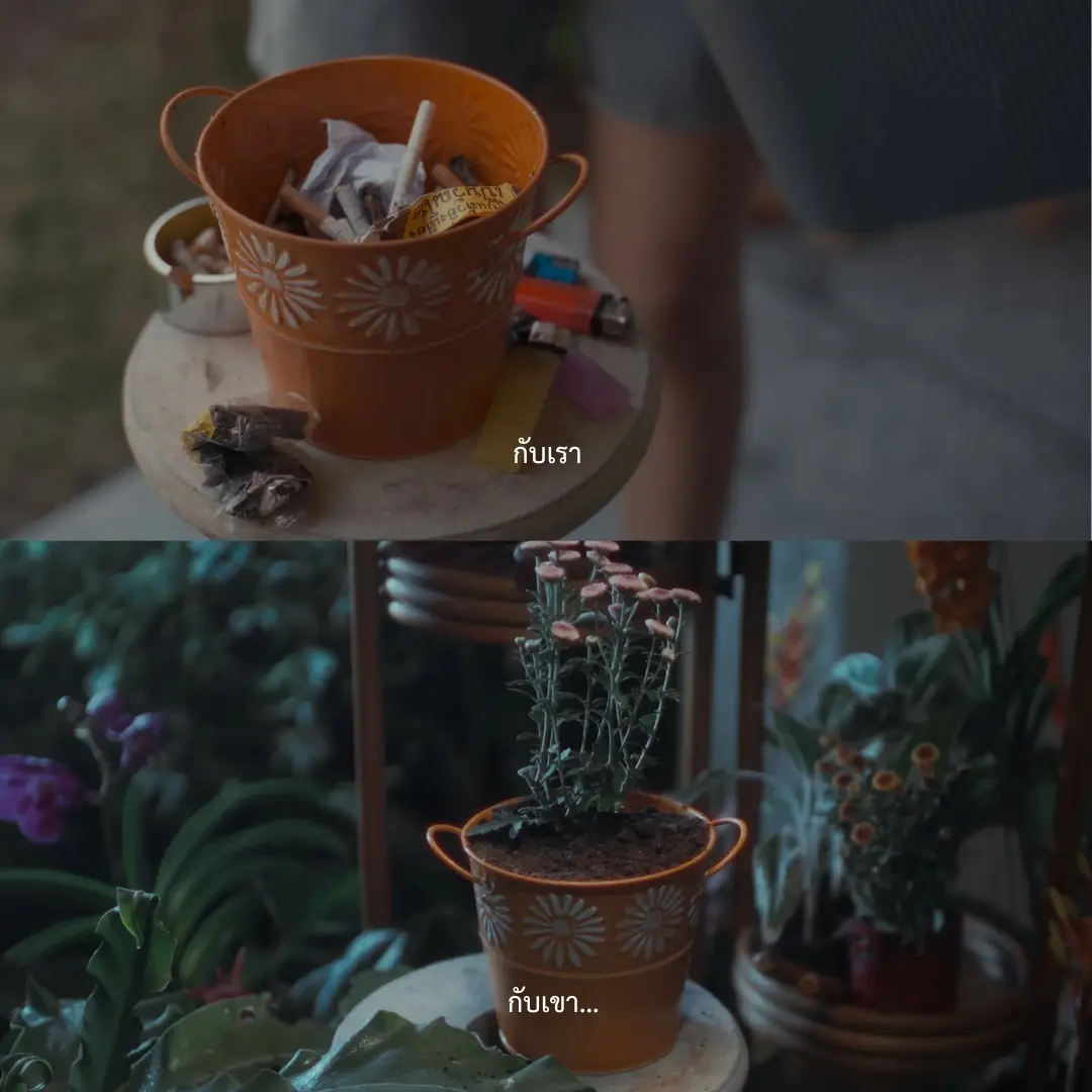 #วิงวอน #Cherry #BOWKYLION  #เพลง #เพลงเศร้า #เธรด #เธรดเศร้า #newmusic 