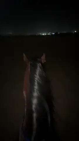 #خيل_وخياله🐎 #fyp ركوب مع الاجواء الحلوه❤️#ماشاءالله_تبارك_الله 