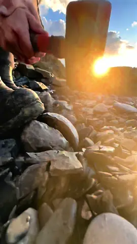 Here are three Jurassic nodules including one of our Golden Nodules 😍🤯 The large nodule has an outer coating of Iron Pyrite 💎🔬 The ammonite inside is an Eleganticeras, around 185 Million Years Old, older than the majority of the land dinosaurs! 🦖🌲 #cannon #ball #fossil #fossils #cannonball #animals #art #ammonite #ammonites #dinosaur #scientist  #minerals #paleontology #whitby #geologist #dorset #geology #charmouth #jurassic #yorkshire #fyp 