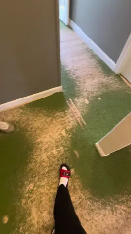 Help us!!! #christmas #tree #christmastree #lol #nooo #dead #omg #oops #fyp #help #ugh #fail #fyppo #rockinaroundthechristmastree 