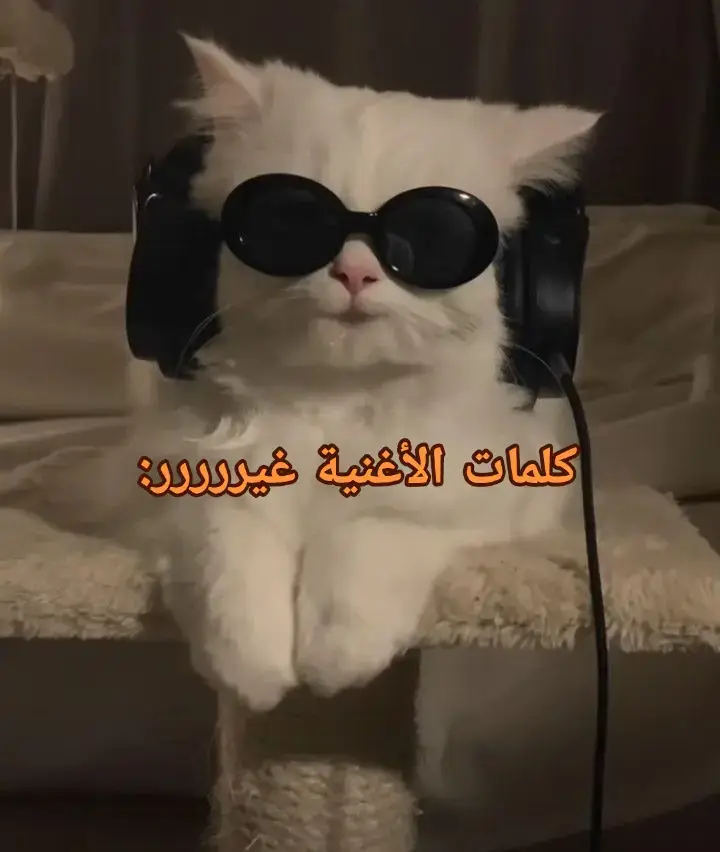 #اكسبلور #explore 