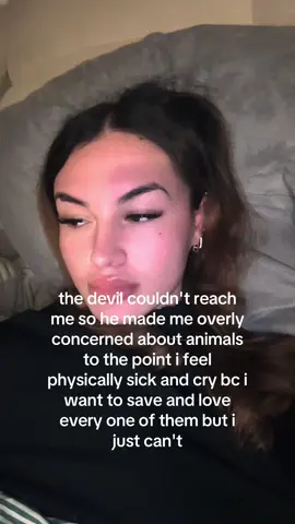 I'm hurting sm for them.. #fyp #animal #saveanimals #devil #crying #strays #foryoupagе #wxycba #contentcreator #tiktokk 