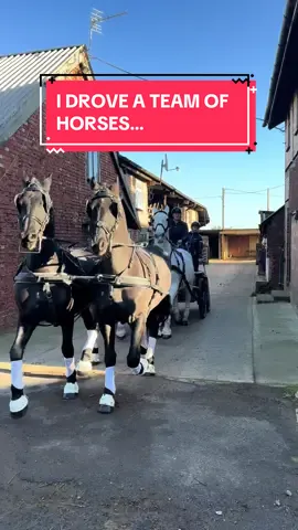 WHAT HAVE I DONE…😂🐴 @LondonHorseShow #fyp #foryoupagе #equestrian #horsesoftiktok #horsegirl #horseboy #equestrianvibes #equestrianlife #horsetok #CapCut 