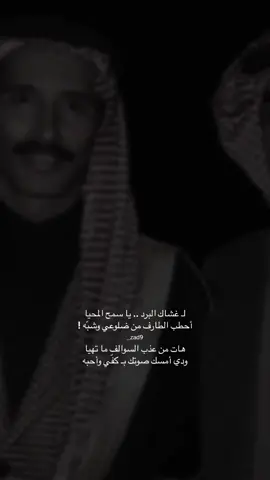#مساعد_الرشيدي 