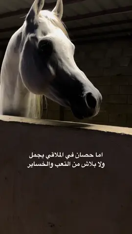 #ماشاءالله_تبارك_الله_اذكروا_الله🙏🥰 #الخيل_العربي_الاصيل🐎 #tiktokindianmusically_foryuo_talent #cccccccccccccccccccccc💕💕 #bbbbbbbbbbbbbbbbbbbbbbbbbb #ماشاءالله_تبارك_الله_اذكروا_الله #ترند_تيك_توك_مشاهير #تصميم_فيديوهات🎶🎤🎬 #حصان_عربي #ماشاءالله_تبارك_الله #حصان_عربي 