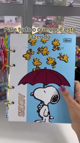 CHOCADA com esse fichário!? 😱 #tilibra #snoopy #papelaria 