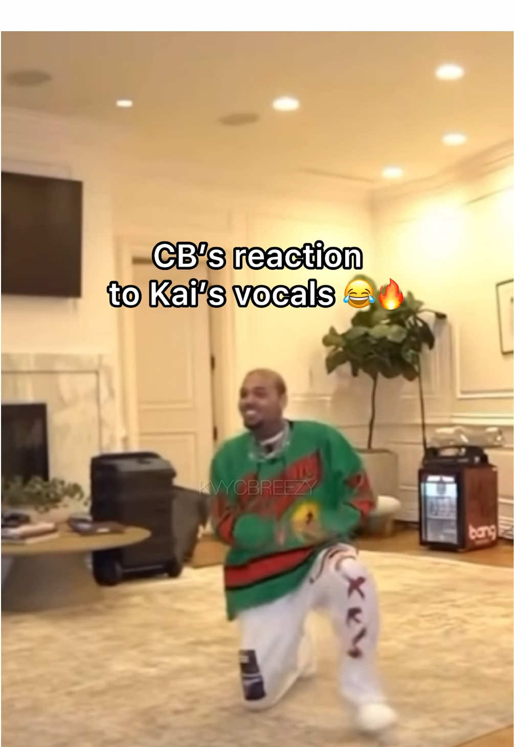 can’t get over Chris’ facial expressions 😂 #chrisbrown #teambreezy #kaicenat #fyp 
