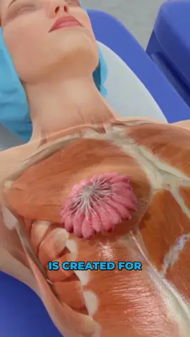 Breast augmentation is a surgical procedure that increases the size and shape of breasts. It can be performed to enhance breast size, reconstruct a breast after surgery, or as part of gender-related surgery. #breastaugmentation #medicaleducation #medicalanimation #3danimation #3dmedicaleducation #3danimationsurgery