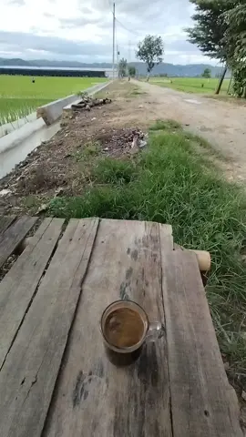 isuk2 mruput ngopi ☕ #fyp 