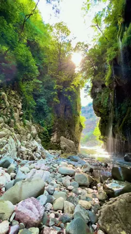 Ο συνδρομητής που καλέσατε ψάχνει την ηρεμία του!❤️🫶🏼 ##foryou##tiktok