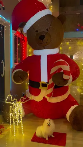 #natal #decoracaodenatal #ursogigante #papainoel #fyyyyyyyyyyyyyyyy #inflavel 