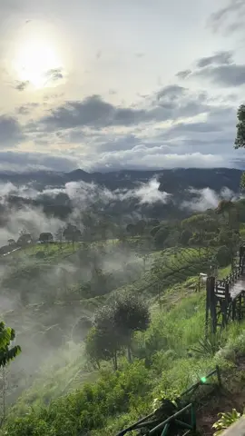 Dunia dengan segala permasalahan nya tetap saja indah #pangalengan #jawabarat #bandung #atapjabar #traveling #view #alam #nature #pemandangan 
