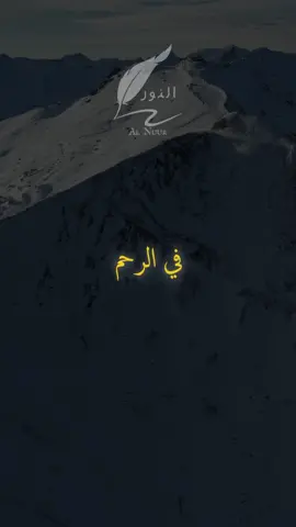 في الرحم #اقتباسات #حكمة #خواطر #اكسبلور #نجاح #علم_النفس #تطوير_الذات #كلام_من_ذهب #اطمئن #اقتباسات_عبارات_خواطر #تحفيزات_إيجابية #اللهم_صلي_على_نبينا_محمد #fyp #explore #viral_video #motivation