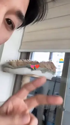 good morning from here everyone DADDY SIWON SEND GREETINGS ❤️💘#choisiwon____ 