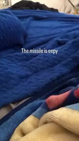 #meme #funny #cats #missile #eepy 