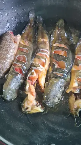 buổi sáng có lộc ăn