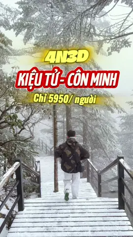 Review trip Săn Tuyết - Ngắm Chim Hải Âu - Check in Mùa Thu Côn Minh cho người lương từ 5 Củ .  Note lại lên lịch tháng 12 này đi thôi #tourtrungquoc #chimhaiau #santuyet #viral #HoangHaTravel #HaiDangHayDi  @HOÀNG HÀ TRAVEL 