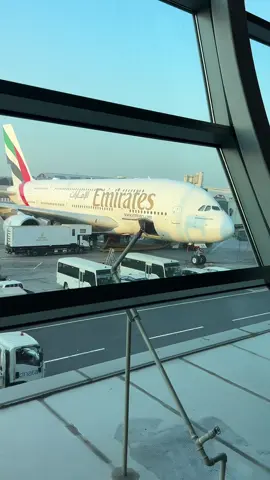 Dubai: A380 heaven 😍✈️ #Aviation #Emirates #DXB
