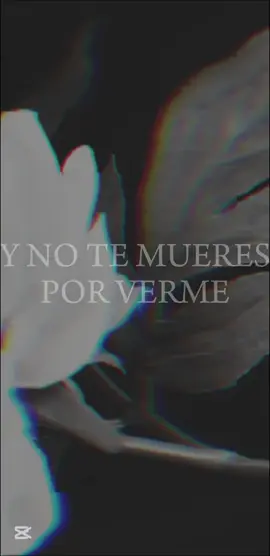 Charlie Usg - Miéntete  Link de la canción: https://youtu.be/RPO8q7geGOY?si=-LU4CVyIWcw4l02M #charlieusg #contactocero #mientete #lyric #fyp #musica #letrasdecanciones #miparati #164rt2 