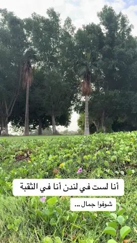 #الثقبة #الثقبة_الخبر #الثقبة_الدمام_الخبر_الشرقية #الخبر_الشرقيه #مقاهي_الشرقية #العيد #الدمام #الخبر #مطاعم_الخبر #مطاعم_الدمام #مقاهي_الخبر #مقاهي #ملابس_العيد #تخفضيات #العزيزية #الراكة #الخبر_تشاك #الهفوف #ترند #ترند_تيك_توك #ترند_جديد #جديد #الشعب #الشعب_الصيني_ماله_حل #بن_جمعة #الجمعة #اناقة #اناقة_انثى #اناقة_رجل #جمال #جمالك #غيم #مطر #تغطيات #اكسبلورexplore #اكسبلور 