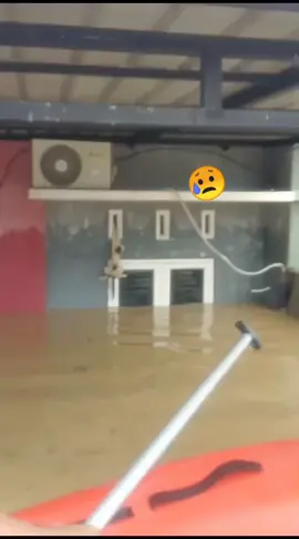 selamatkan manusia ❌ selamatkan kucing ✔️ 👀banjir  #banjirbandang  #medanviral 