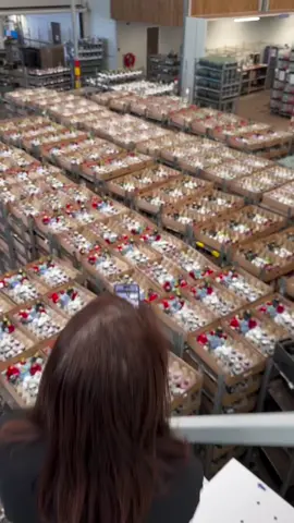 @vreugdenhilbulbsplants is a premium Amaryllis Bulb grower! Marjolein Vreugdenhil their 2024 bulb assortment! Now available trough the @decorumplantsflowers_official webshop #amaryllis #amaryllisbulb #decorumcompany @thursdofficial @Thursd 