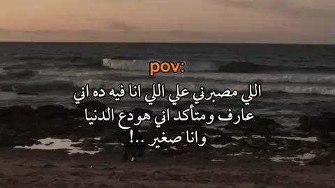 عارف والله....!#fypシ゚vira #fypシ゚ #explore #اكسبلور 