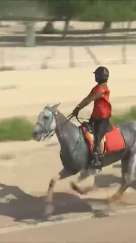 Lazik💥. #سباقات_الخيل #horse #endurance #racing #خيل_وخياله🐎 #خيول_عربية_اصيلة #مشاءالله_تبارك_الله #دبي🇦🇪 #uae #fyp #explorer #قدره_التحمل 