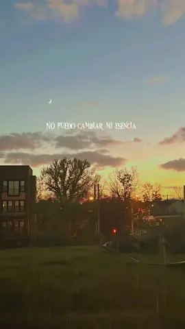 💫✨❤️Quisiera amarte hasta el infinito❤️✨💫 DIVINO- MI VIDA   #enamorados #letras #paratiiiiiiiiiiiiiiiiiiiiiiiiiiiiiii #paradedicar #lirics #divino #mivida 