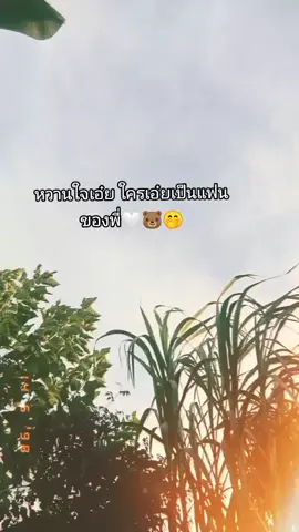 ใครเอ๋ยเป็นแฟนของพี่#ฟีดดดシ #ยืมลงสตอรี่ได้ 