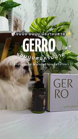 🐩Gerro แชมพูอาบน้ำสัตว์เลี้ยง✨ #แชมพูอาบน้ําสุนัข #แชมพูสัตว์เลี้ยง #แชมพูครีมนวดสัตว์เลี้ยง #แชมพูอาบน้ําสัตว์เลี้ยง #แชมพูอาบน้ำสัตว์เลี้ยง #แชมพูหมาแมว #gerro