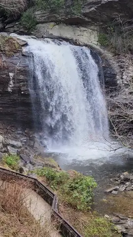 Looking Glass Falls in North Carolina #fyp #waterfall #asmr #travel #nature #Hiking #naturelover #chasingwaterfalls #hikingadventures #oldtiktok #photography #naturevibes #hikingtiktok 