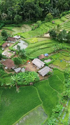 Jauh ti pi omongeun iyeu lembur