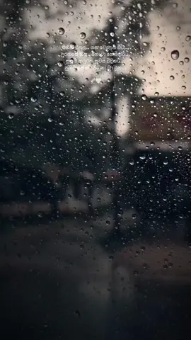 වැස්ස🌧️ #nubatainnatathibunamalaga #lyricsvideo #sinhalasong #song #srilankan_tik_tok🇱🇰 #fyp #fypviralシ #singapore 