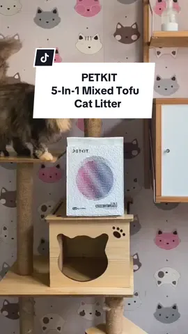 Malik berak dekat kawasan Shark. Shark tak puas hati! Haihhh…kucing akan buat hal bila takung pasir kotor dan berbau busuk. Sebelum majikan merangkap bos kawasan amuk pada bibik, jom cepat-cepat tukar pasir kucing ke PETKIT 5-In-1 Mixed Tofu Cat Litter dari @petkit_malaysia. Kenapa pilih mixed tofu cat litter? 👇🏻 ✅ Diluluskan oleh FDA ✅ Diperbuat daripada bahan semula jadi sepenuhnya ✅ Sangat menyerap dan membalut dengan sempurna ✅ Debu minimum dan cepat menggumpal, mudah dicedok ✅ Larut dalam air dan boleh dibuang melalui tandas ✅ Haruman tidak toksik untuk pernafasan selesa anda dan kucing ✅ Lembut pada tapak kaki kucing dengan saiz pasir 2mm ✅ Sesuai untuk semua jenis tandas kucing Check out sekarang di @PETKIT Malaysia atau boleh dapatkan di Shopee atau Lazada. Link di highlight! 😉 #petkit #perkitmy #petkitmalaysia #catlitter #tofucatlitter #catroom