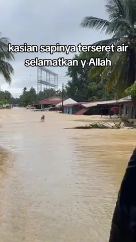 #hujanderas #banjir #pantaitimur 