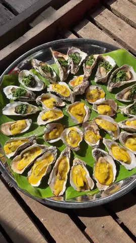 Mọi người thích hàu nướng phô mai hay hàu nướng mỡ hành #ancungtiktok #xuannhuphan 