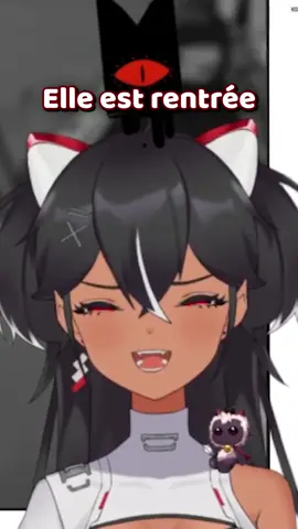 Elle a finit par partir 😔 .. #fyp #pourtoi #twitch #humour #funny #twitchfr #cultofthelamb 