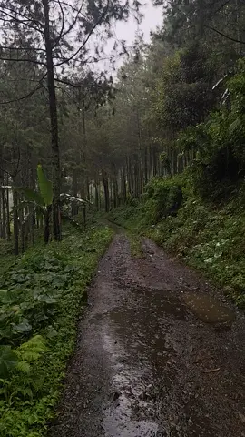 Area Curug Penganten Jampang, Ragatunjung, Paguyangan Brebes. . . Rabu pagi, 27 November 2024