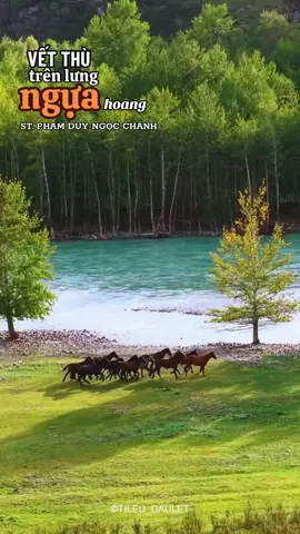 #longervideos #nhachaymoingay #nhachaytiktok #nhacchill #nhactiktok #nhacbuon #Xuongrongden 