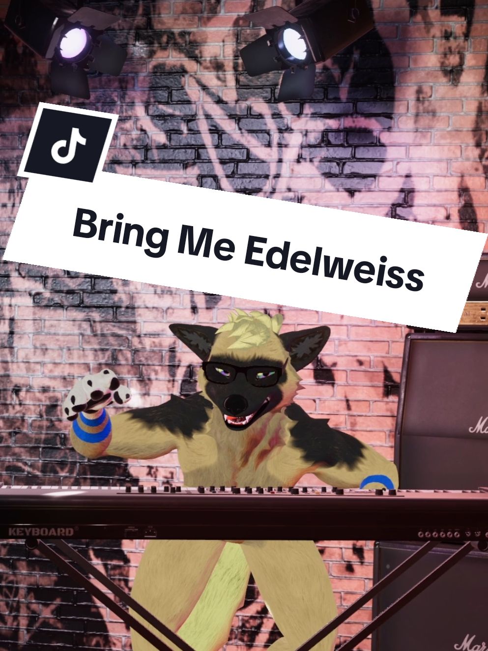 Bring Me Edelweiss - Yodel Die 80er anders Wild damals, ich liebe sie immer noch. Dazu kann man nur Crazy gehen🤪 You only can go Crazy to the 80s🤪 #vr #vrc #vrchat #furry #musik #dancer #crazy #80 #80smusic #edelweiss #beer #bier 